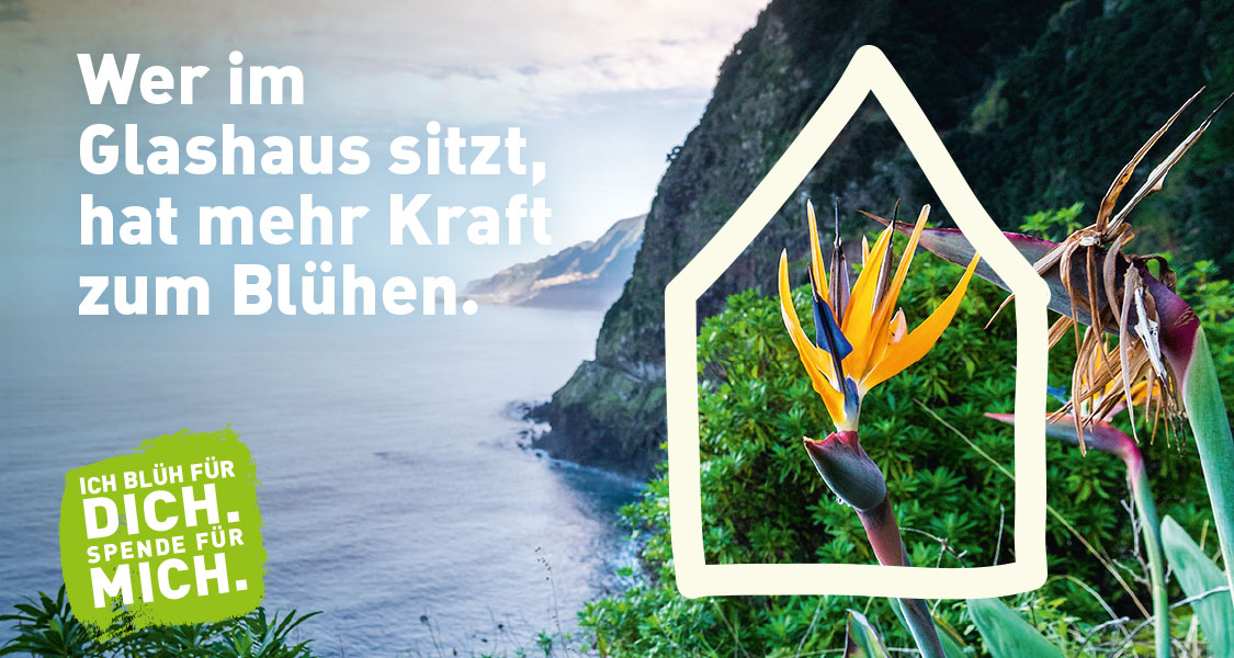 The picture shows the header of  the donation campaign "Ich blüh für dich. Spende für mich."